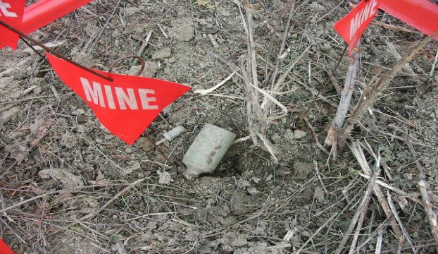 TRIBINA: Djeca u minskom okruženju