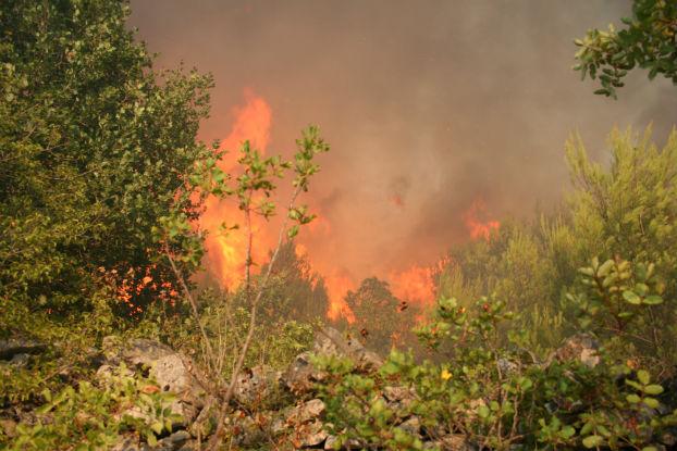 Županijski vatrogasci upozoravaju: Budite oprezni pri spaljivanju biljne vegetacije