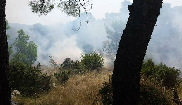 FOTO: Požar ispod Tanaje na Staroj Cesti, dignuto 20 vatrogasaca i šest vozila