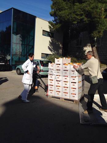 FOTO: Županijski HNS-ovci donirali šibenskoj bolnici pola tone mandarina