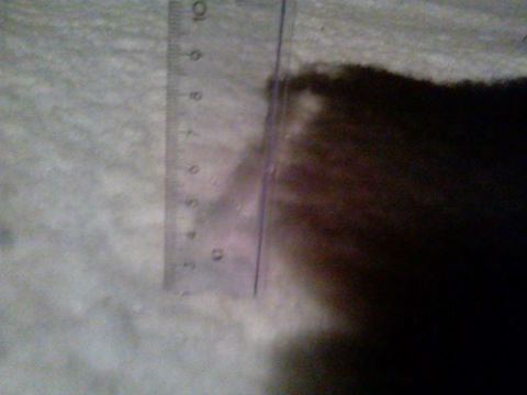 FOTO: Šibenik meteo: Nad županijom prošla ciklona Ines, u Drnišu palo 3 centimetra snijega