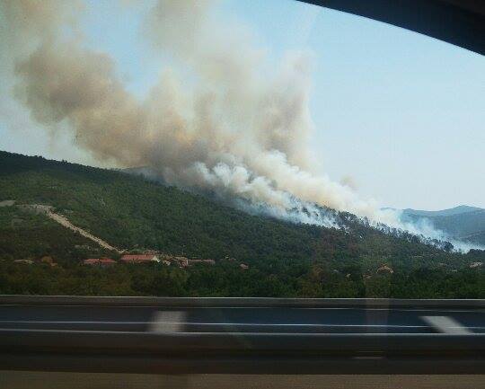 Zaustavljen požar kod Perkovića, kanaderi povučeni, u jednom trenutku i vatrogasci no zbog opasnosti