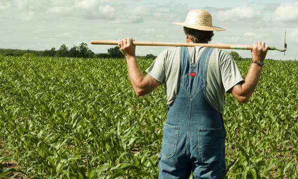 Poljoprivrednicima ove godine nadohvat ruke čak 3,75 milijardi kuna