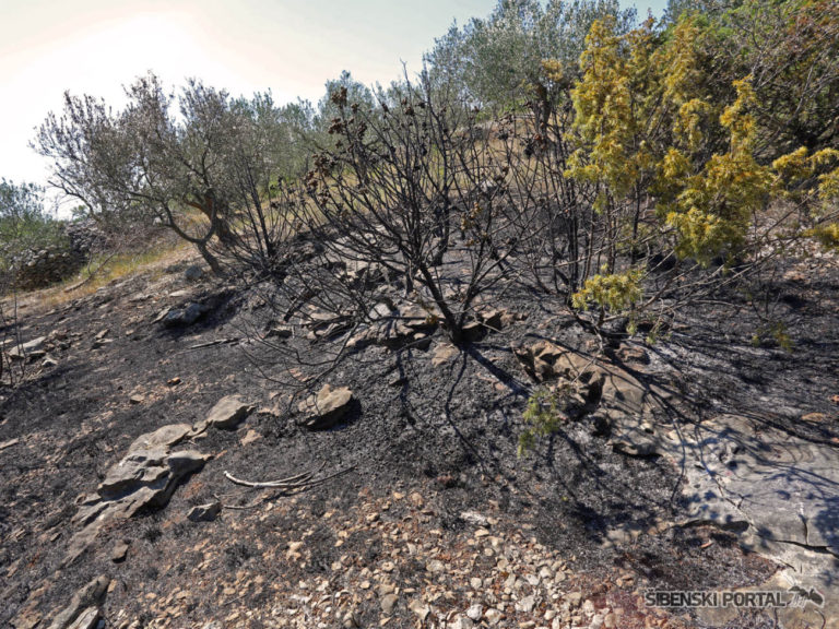 Poznat uzrok požara kod Kistanja gdje gori već četvrti dan