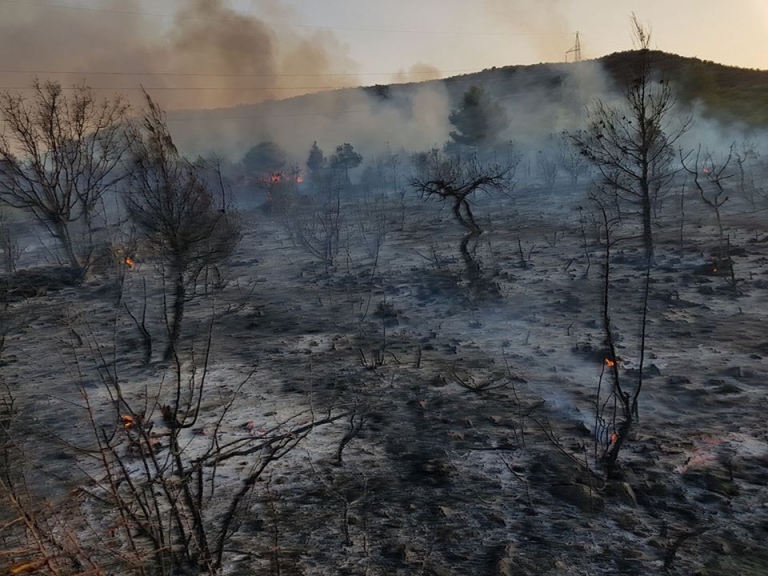 Požar kod Mihaljevića lokaliziran, Promina ugašena