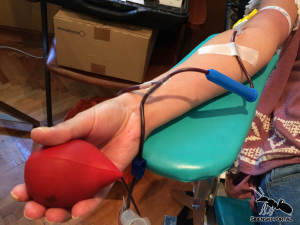 Šibenski Crveni križ poziva na nove akcije dobrovoljnog darivanja krvi, provjerite raspored
