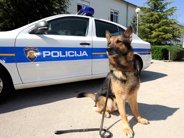 Završio u pritvoruMuškarcu (34) na Jadriji i u Šibeniku policijski pas pronašao drogu, ručnu bombu i pištolj